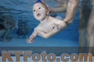 Photo 4207228