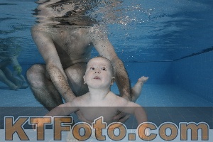 Photo 4207231