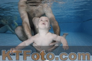 Photo 4207232