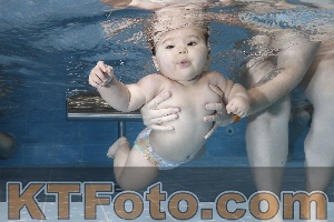 Photo 4207236