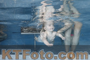 Photo 4207237