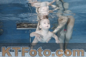 Photo 4207238