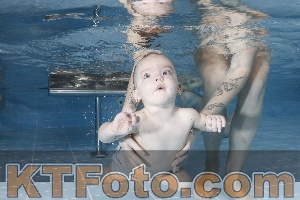 Photo 4207240