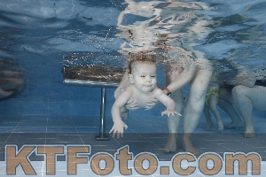 Photo 4207241