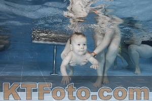 Photo 4207242