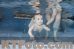 Photo 4207243