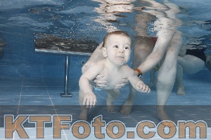 Photo 4207244