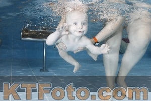 Photo 4207245