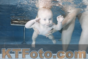 Photo 4207246