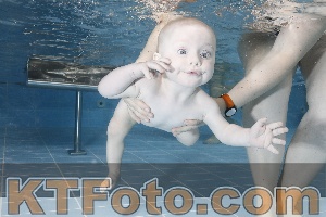 Photo 4207247