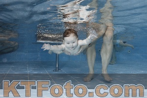 Photo 4207248