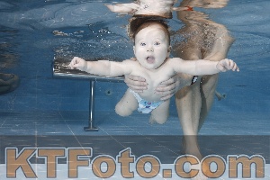 Photo 4207250