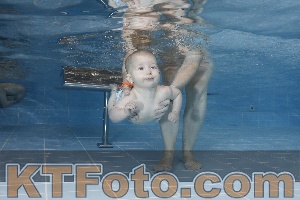 Photo 4207252