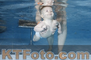 Photo 4207253