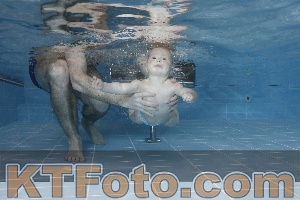 Photo 4207254