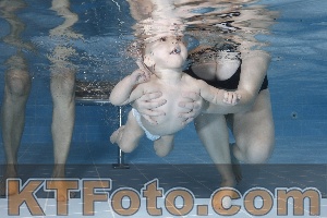 Photo 4207256