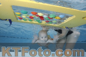 Photo 4207269