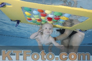 Photo 4207271
