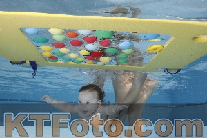 Photo 4207273