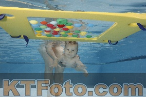 Photo 4207275