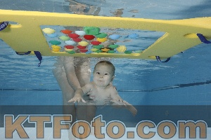Photo 4207276