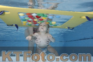 Photo 4207277