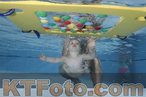 Photo 4207278