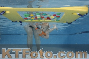 Photo 4207280
