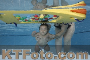 Photo 4207285