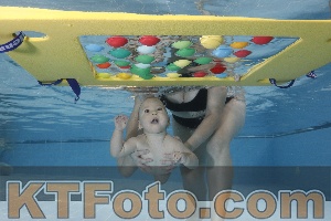 Photo 4207287