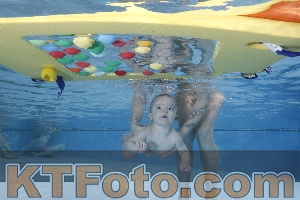 Photo 4207289