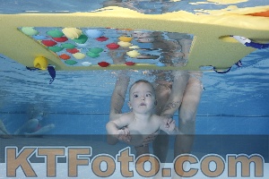 Photo 4207290