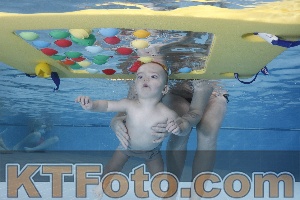 Photo 4207291