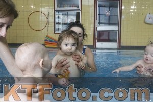 Photo 4207428
