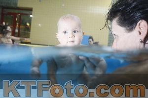 Photo 4207459