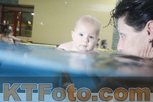 Photo 4207460