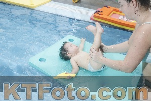 Photo 4207483