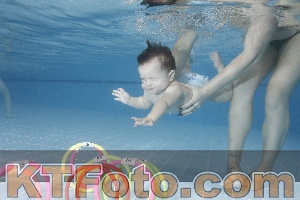Photo 4207501