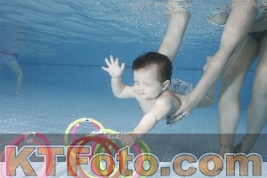 Photo 4207502