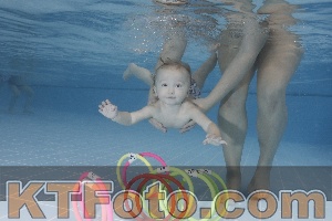 Photo 4207505
