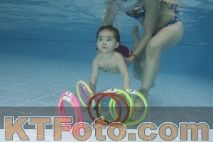 Photo 4207509