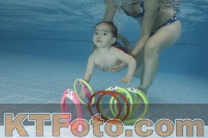 Photo 4207510