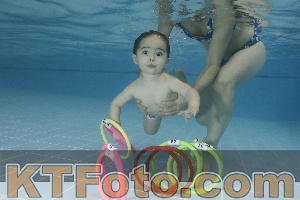 Photo 4207511