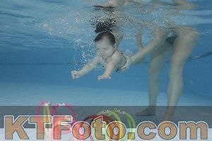 Photo 4207512