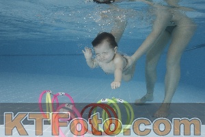Photo 4207513