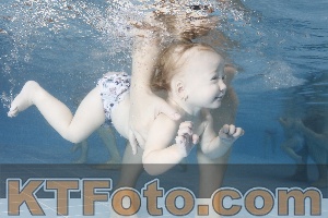 Photo 4207544