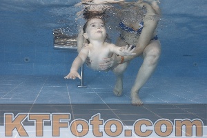 Photo 4207546