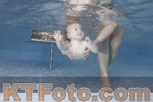 Photo 4207553