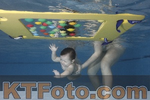 Photo 4207555