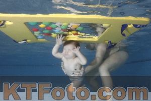 Photo 4207556